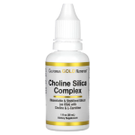 California Gold Nutrition, Choline Silica Complex, 1 fl oz (30 ml) in Pakistan