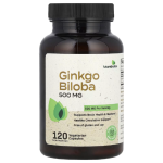 Futurebiotics, Ginkgo Biloba, 120 Vegetarian Capsules in Pakistan